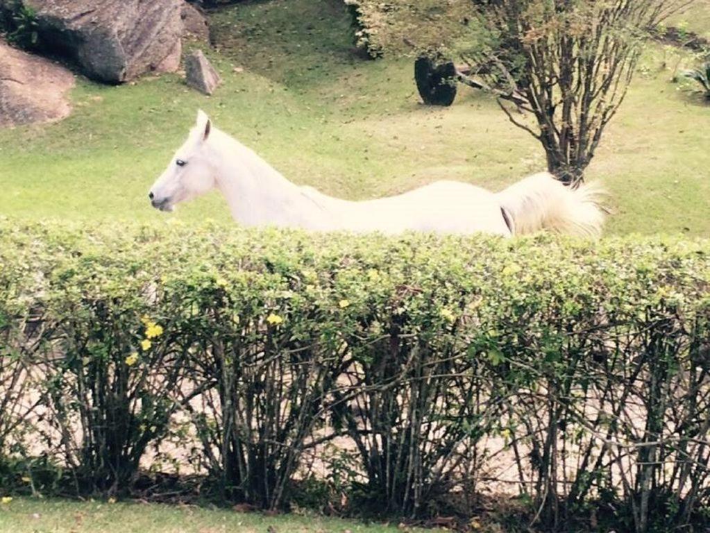 فيلا Fazenda Carpas Douradas São Roque المظهر الخارجي الصورة