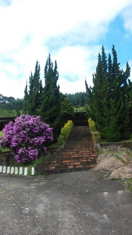 فيلا Fazenda Carpas Douradas São Roque المظهر الخارجي الصورة