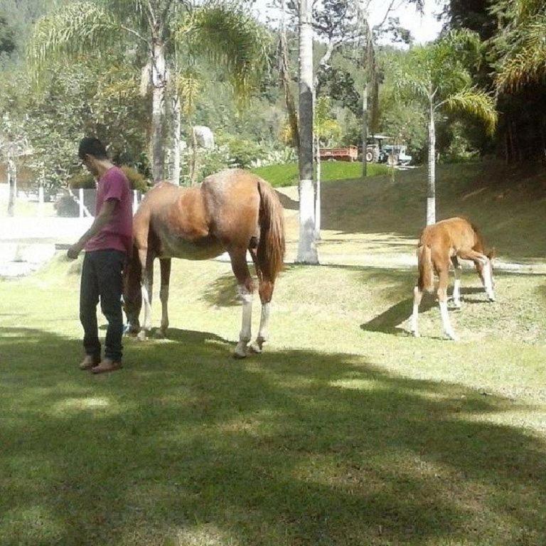 فيلا Fazenda Carpas Douradas São Roque المظهر الخارجي الصورة