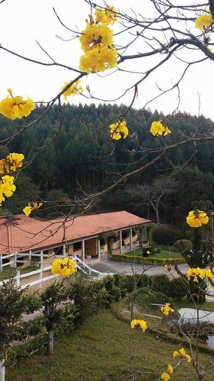 فيلا Fazenda Carpas Douradas São Roque المظهر الخارجي الصورة